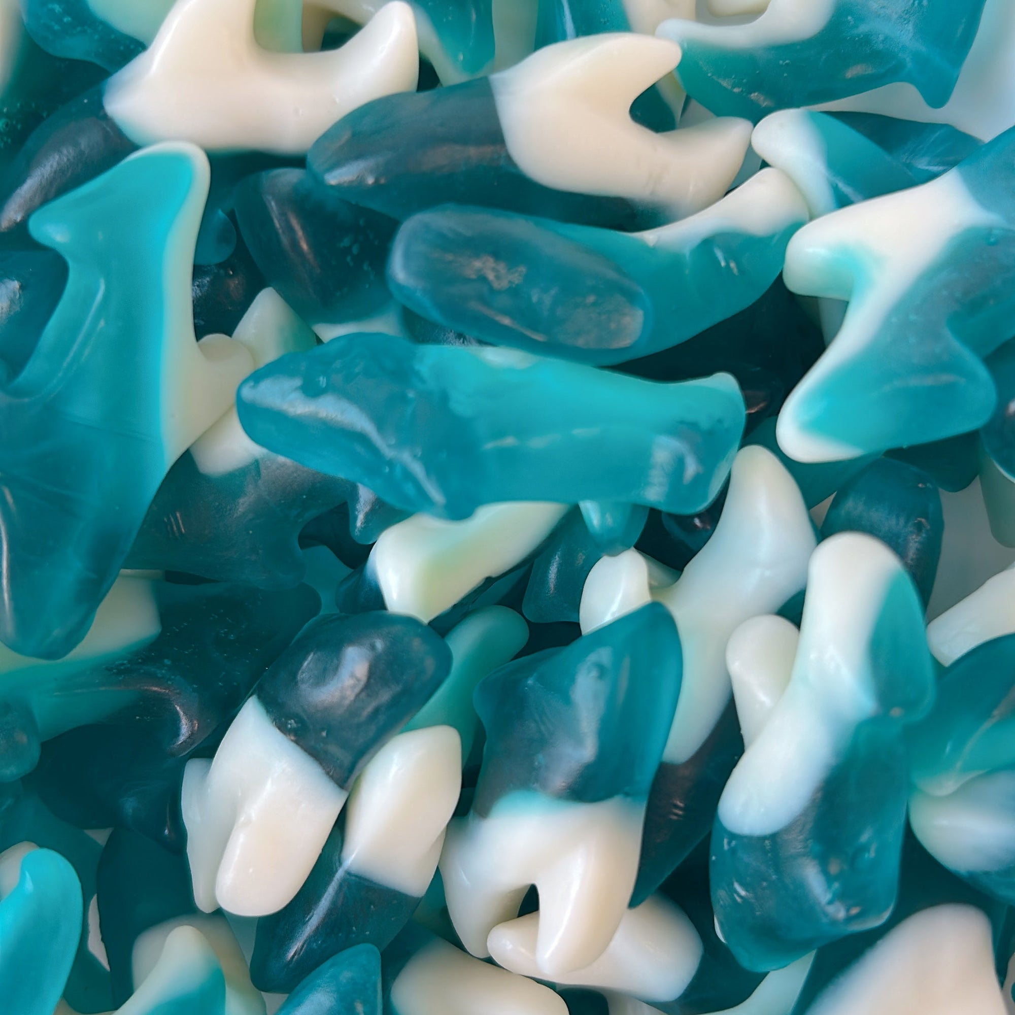 A close-up pile of gummy shark candies in shades of teal blue and white, filling the frame.